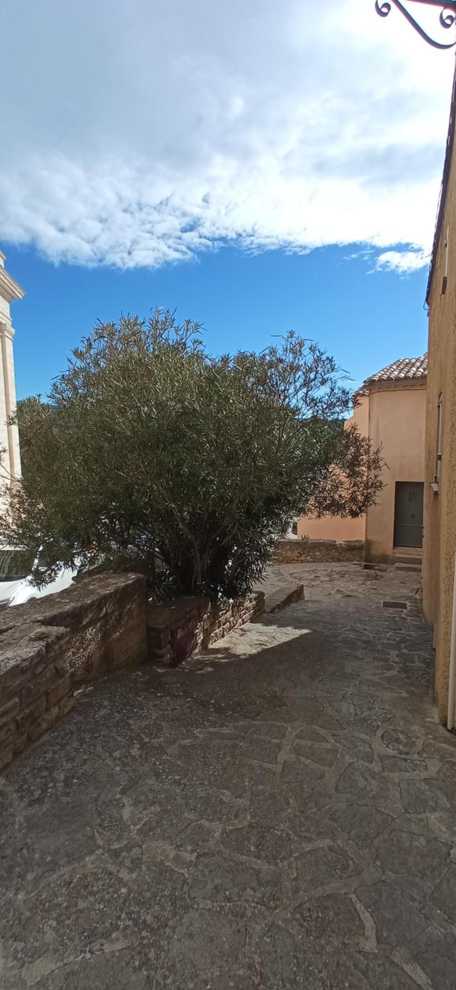 Studio Tout Confort En Provence Mont Ventoux. Bedoin Luaran gambar