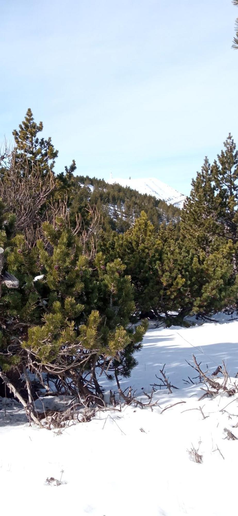 Studio Tout Confort En Provence Mont Ventoux. Bedoin Luaran gambar